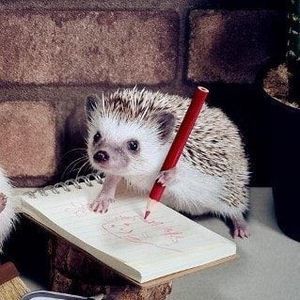 Meet your Posher, Manuel